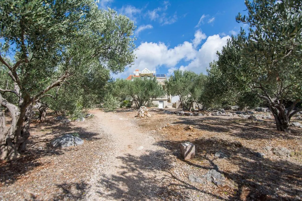 House Motar Villa Zdrelac Croatia